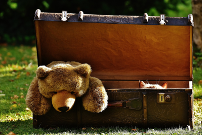 Vintage Suitcase Pet Bed